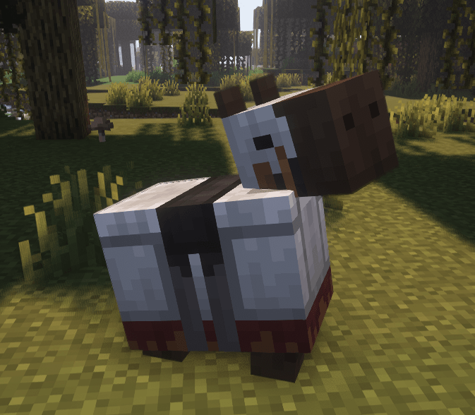 Capybara accessories