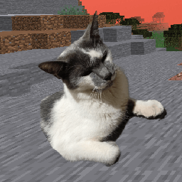 Bob