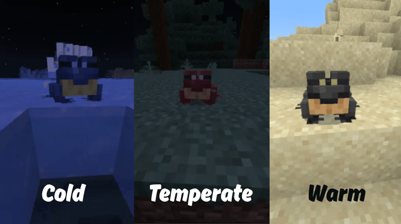 Differents types of frog