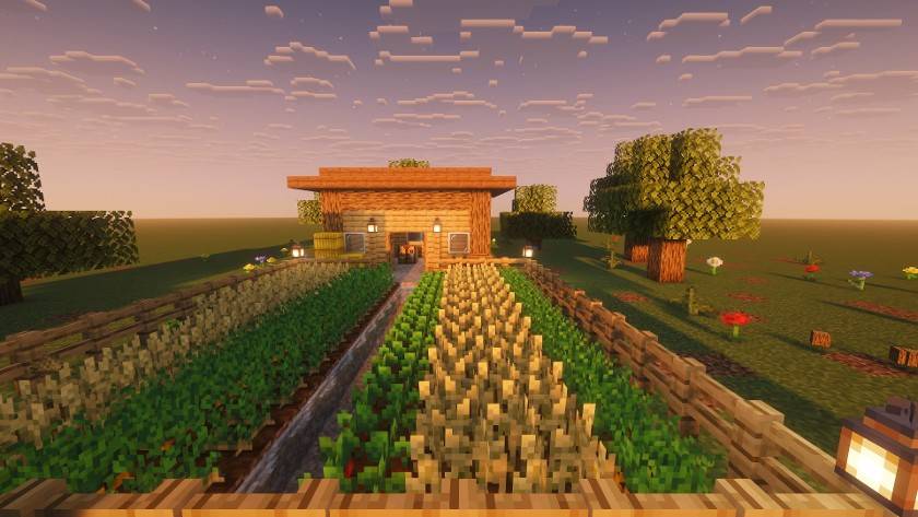 Fields at sunset