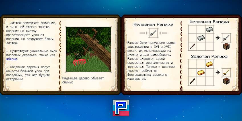Book Translation