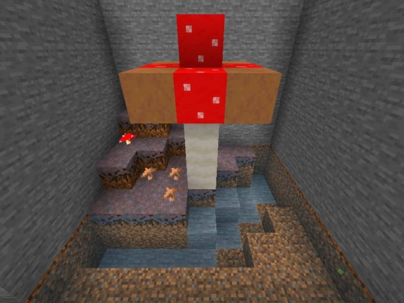 Mushroom