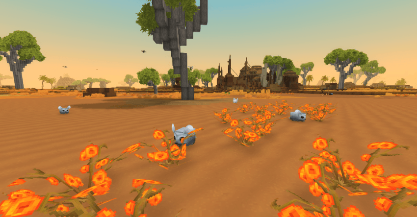 Chinchilla Spawn Location