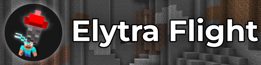 Elytra Banner