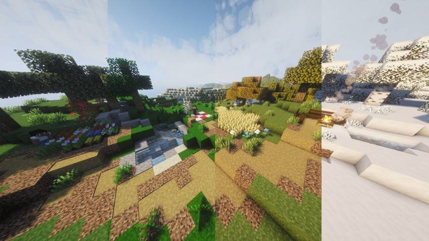 The four seasons