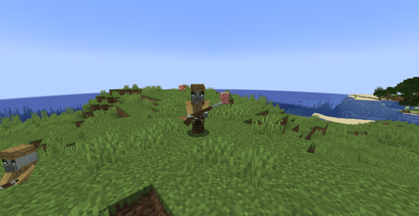 Pillager Soldier