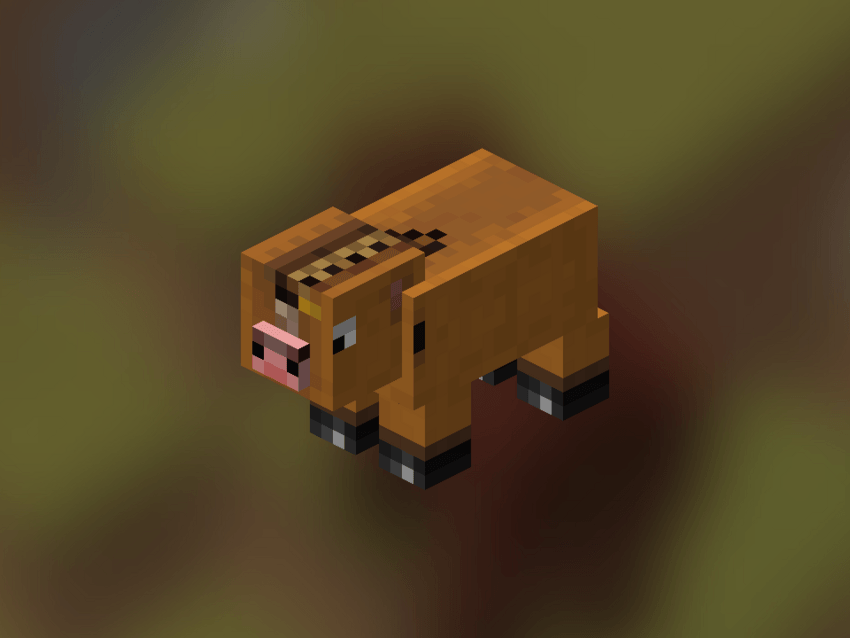 Poney Pig