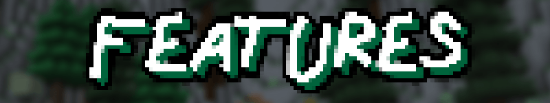 Features Banner