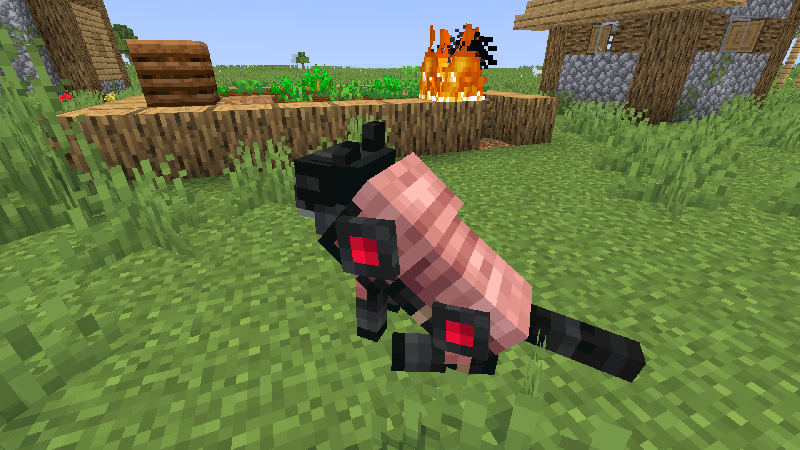 Dog Armor