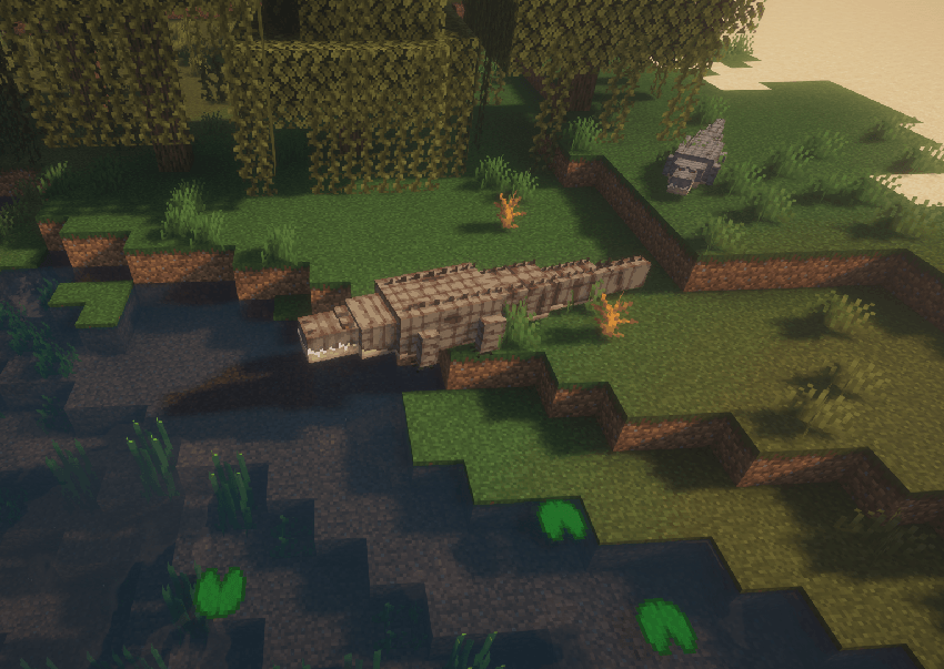 Saltwater Crocodile