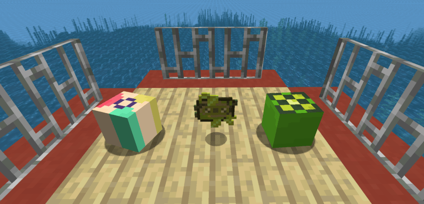 A beach ball and mangrove apple sit on a boat, with a mixtape in between.