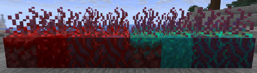 Image of allowed blocks that are added by netherthorn, from left to right: crimson nylium, nether wart block, crimson stem, crimson hyphae, warped nylium, warped wart block, warped stem and warped hyphae