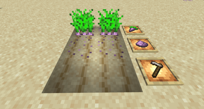 Spice farm
