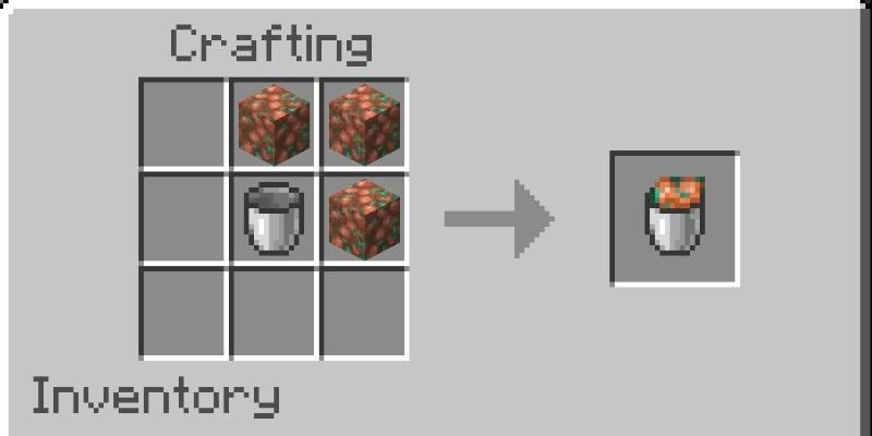 Bucket of Raw recipe