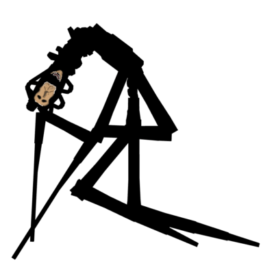 Organator