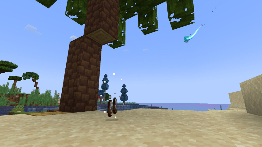 Allay in the beach