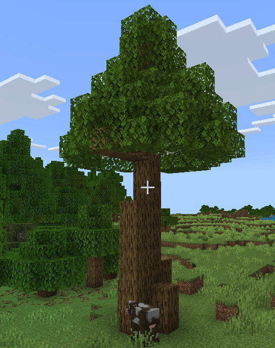 tall_oak_tree