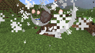 Chicken Exploding