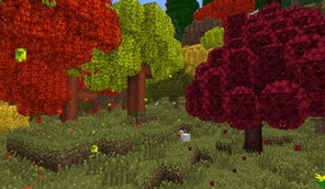 Autumn Woods