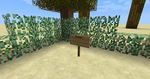 Hedge Block