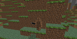 Camoflauged
