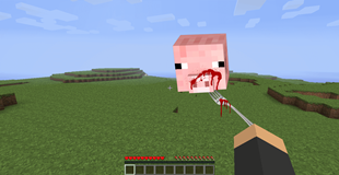 Eat the pig