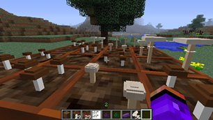 Mushrooms