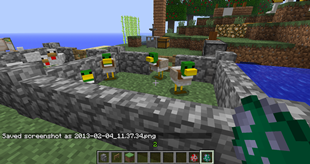 Ducks