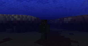 Scuba Armor