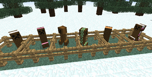 The Creepers