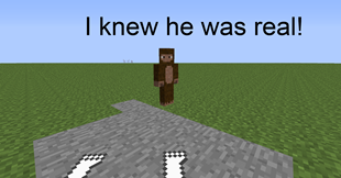 Bigfoot?
