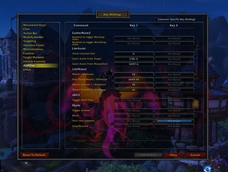 LiteMount_KeyBindings.jpg