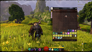 Bag-frame.png