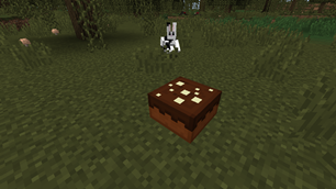 Chocolate cake