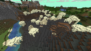 Shiny Biome