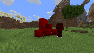 Ruby equipments