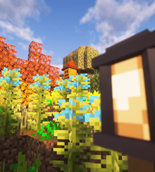 crops