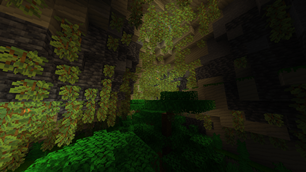Limestone Caves