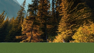 2025-01-23_11.1w6.24.jpg