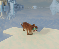 Picture7.png