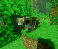 Picture8.png