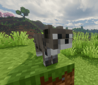 Picture9.png