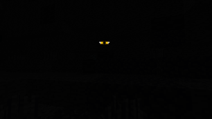 2024-12-09_18.51.02.webp
