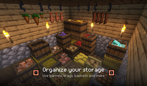 Organize your storage.png