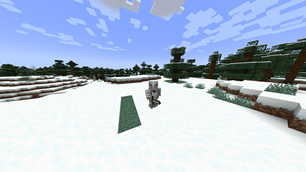 Armor and Sword on player