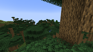 Overgrown Oak Forest