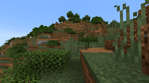 Birch Shrubland