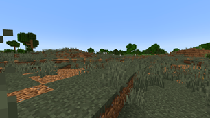 Dry Grassland