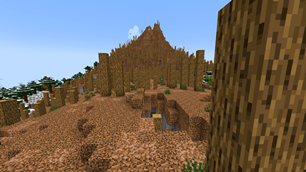 Deadwood Forest