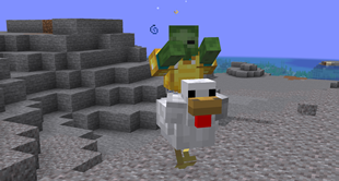 Adult Chicken Jockey